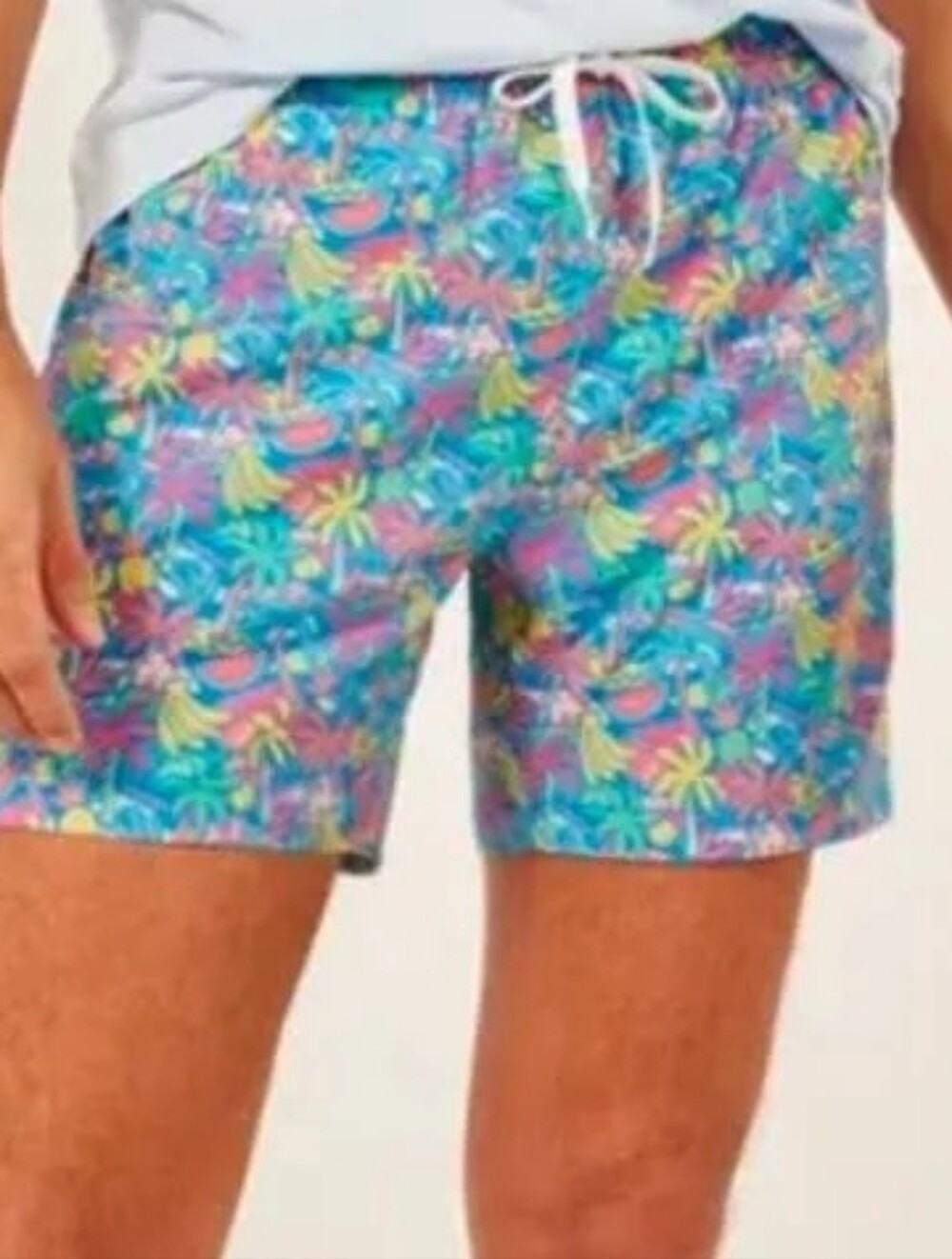 Chubbies Swim Trunks Youth Blue Fruit Palm Brief Mesh Liner